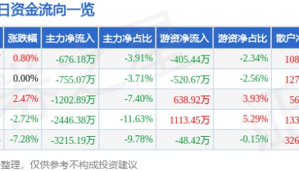 股票行情快报：浙大网新（600797）1月9日主力资金净卖出676.18万元
