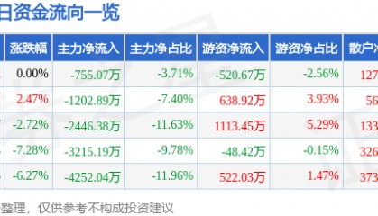 股票行情快报：浙大网新（600797）1月8日主力资金净卖出755.07万元