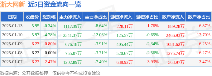 股票行情快报：浙大网新（600797）1月13日主力资金净卖出1117.39万元