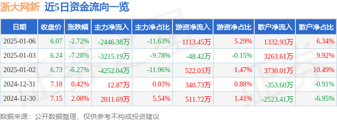 股票行情快报：浙大网新（600797）1月6日主力资金净卖出2446.38万元