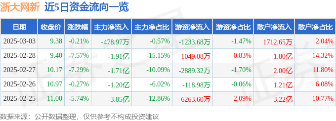 股票行情快报：浙大网新（600797）3月3日主力资金净卖出478.97万元