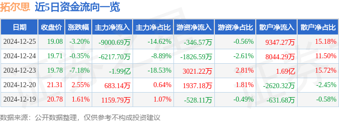 股票行情快报：拓尔思（300229）12月25日主力资金净卖出9000.69万元