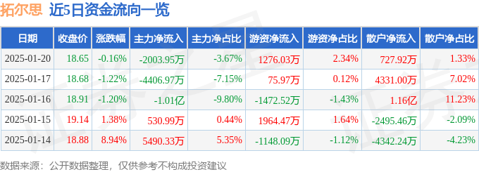 股票行情快报：拓尔思（300229）1月20日主力资金净卖出2003.95万元