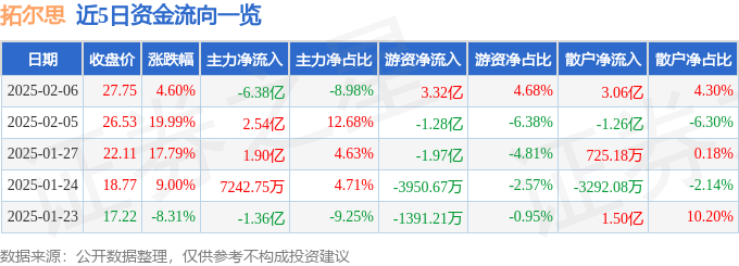 股票行情快报：拓尔思（300229）2月6日主力资金净卖出6.38亿元