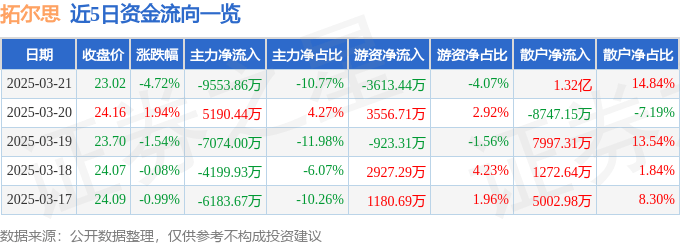 股票行情快报：拓尔思（300229）3月21日主力资金净卖出9553.86万元