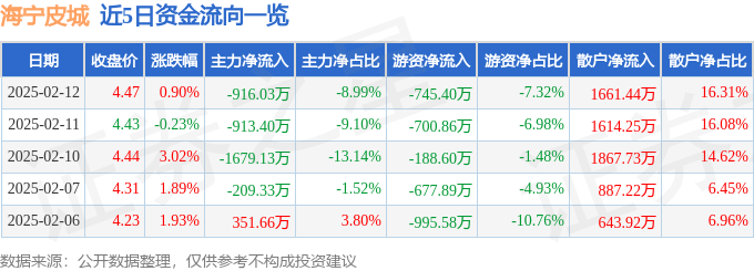 股票行情快报：海宁皮城（002344）2月12日主力资金净卖出916.03万元