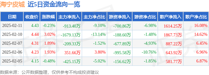 股票行情快报：海宁皮城（002344）2月11日主力资金净卖出913.40万元