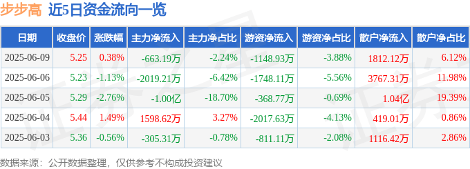 股票行情快报：步步高（002251）6月9日主力资金净卖出663.19万元