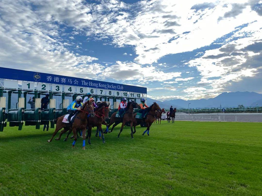 加入赛马行业良机！香港赛马会从化马场诚聘策骑员