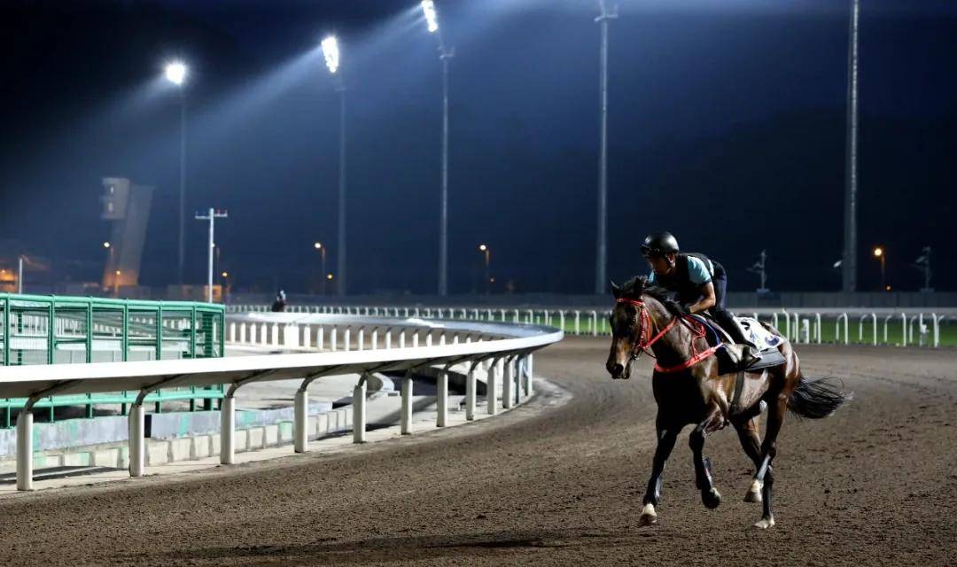 加入赛马行业良机！香港赛马会从化马场诚聘策骑员