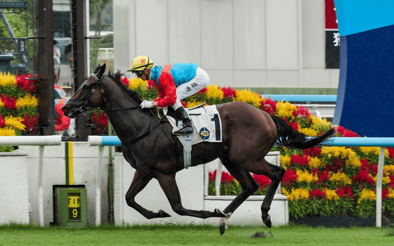 香港赛马会2025/26年度赛马季开锣，逾4.3万观众见证
