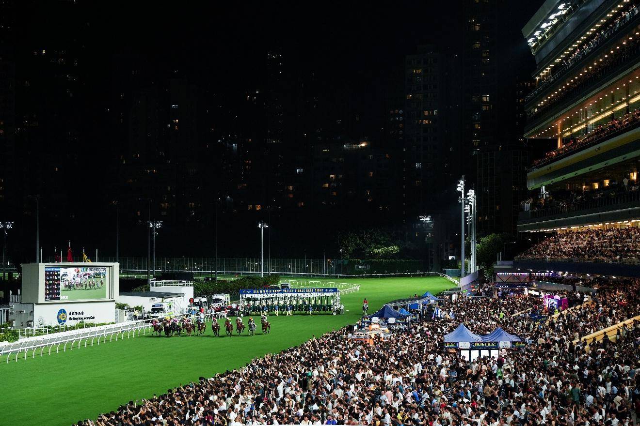 香港赛马季本地赛马闪耀世界舞台，从化马场作出贡献