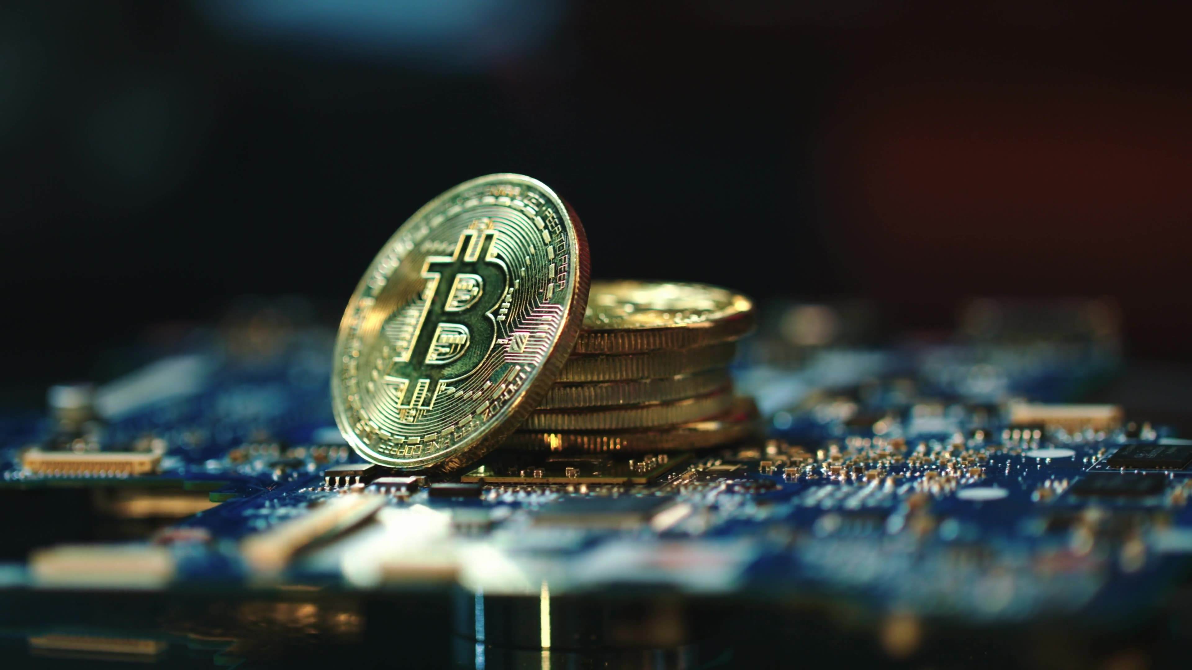 币虎网交易所(币虎交易所排行怎么样) 币虎网交易所(币虎交易所排行怎么样)