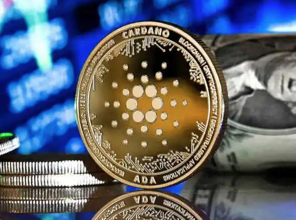 优优交易所(优优市场安卓版下载)