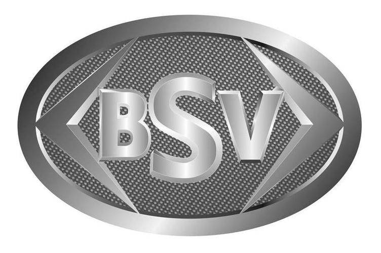 BSV交易平台(vbc交易所官网)