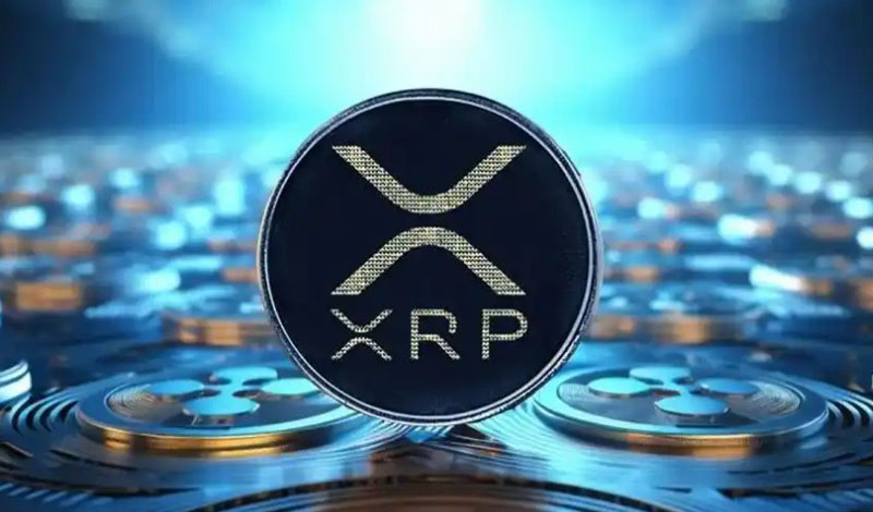 XRP交易所(xrp最早在哪个交易所)