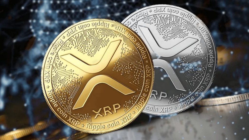 XRP交易所(xrp币是骗局吗)