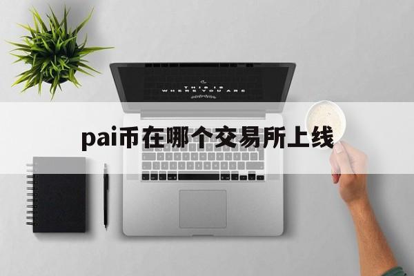 关于pai币在哪个交易所上线的信息